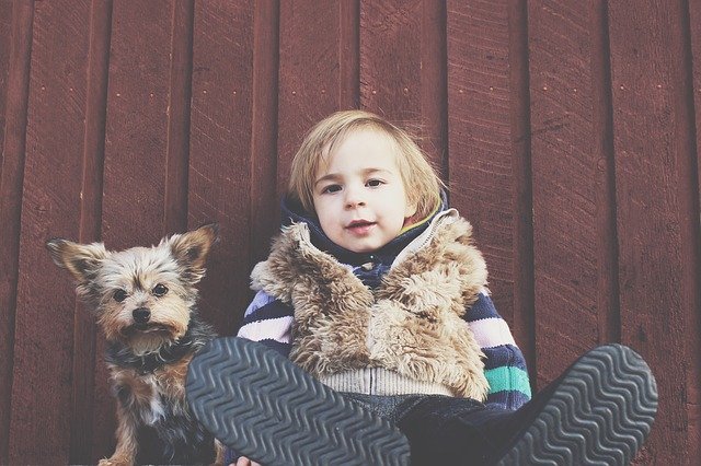 子どもと犬