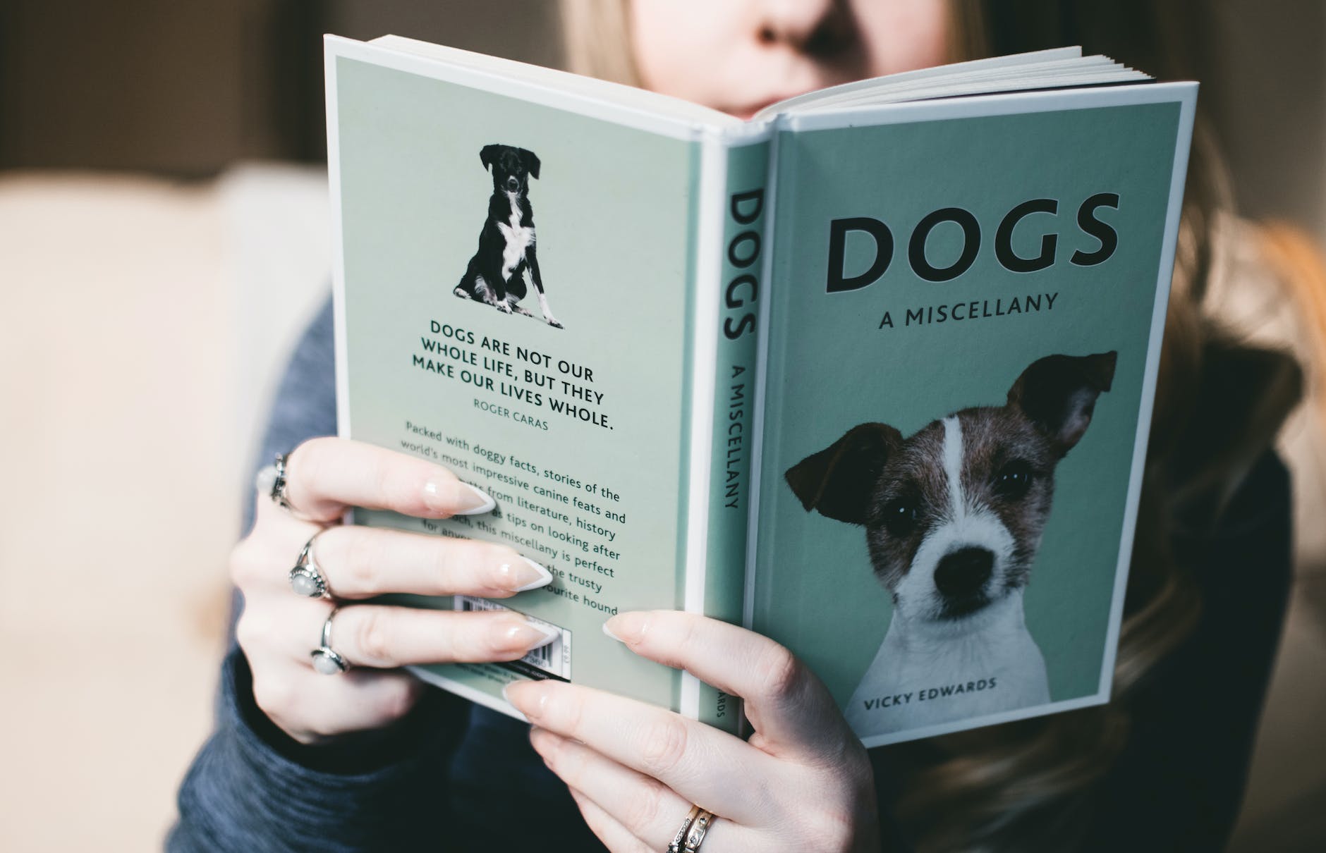 woman holding dogs a miscellany book